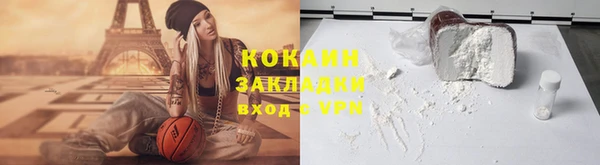 хмурый Алексин