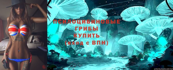 СК Нефтегорск